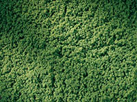 015-76666 - Rollrasen hellgrün (150 x 250 mm)